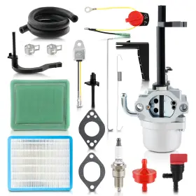 Autocparts 710597886443 Carburetor Kit For Coleman Powermate Genpower 305 Generator