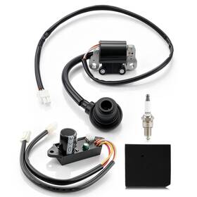 Autocparts 710597888645 Ignition Coil And Module For Predator 3500 Watts Inverter Generator 63584 56720