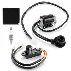 Autocparts 710597890655 Ignition Coil / Control Module For Harbor Freight Predator 3500 Watt