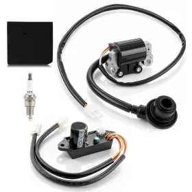 Autocparts 710597890655 Ignition Coil / Control Module For Harbor Freight Predator 3500 Watt