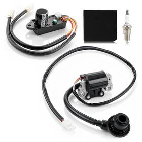 Autocparts 710597892147 270920364-0001 Tj113-2009-1 Ignition Coil And Module For Inverter Generator