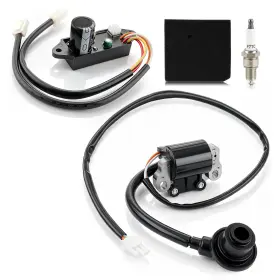 270920364-0001 Autocparts 710597892147 Tj113-2009-1 Ignition Coil And Module For Inverter Generator