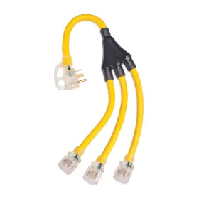 Champion Power Equipment 817198028064 2 Ft. 30a 125v Generator Adapter Cord