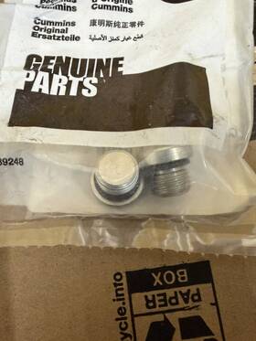 Cummins 3678921 Threaded Plug P/n# 2 Plugs In Package