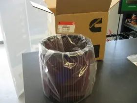3866468 Cummins Air Cleaner Element