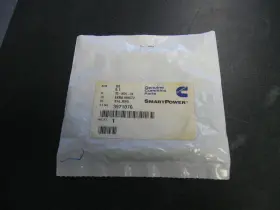 3971076 Cummins O-ring Seal Ja17 3971076 Cummins O-ring Seal Ja17