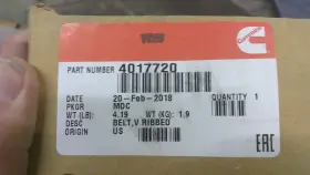 4017720 Cummins New Oem V Belt Ribbed