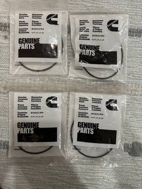 Cummins 4992509 O-ring P/n# Lot Of 4