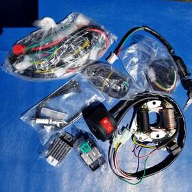 Eopoayi Eo-whr-01 Tao Wiring Harness Kit Coolster 110cc 125cc Chinese Atv Quad 4 Wheel
