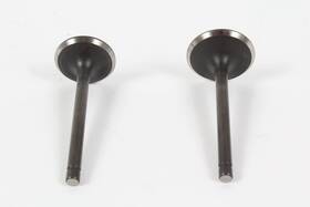 Generac 0j39430126 Genuine Exhaust And Intake Valve Set Fits Gp5000 Gp5500 Gp6500