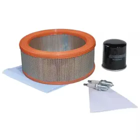 Generac 313056244275 Maintenance Kit For 20 000 Watt Air-cooled Whole House Generator With 999cc Engi