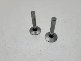 34034 Generac Tecumseh Tappet Valve Lifter Set 34034 Generac Tecumseh Tappet Valve Lifter Set