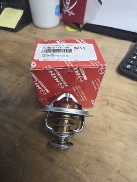 Generac G0856770200 Thermostat