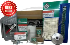 Hgjab-a3117-1030 Generator Parts Specialist Rv Tune Up Kit 5500 7000 Hgjab Hgjac Oil 10w30