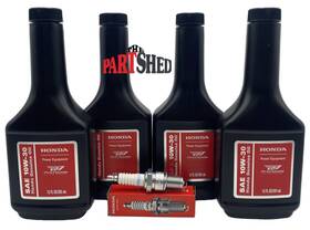 Honda 08213-10w30-bpr6es Harbor Freight Predator 9500 Watt Inverter Generator Oil Change Kit Tune Up