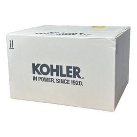 Kohler 116-s 24 584 Module Spark Advance Dsai Assembly