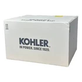 Gm102520 Kohler Gm100159 Wires 6.2l Na Ind Spark Plug Set