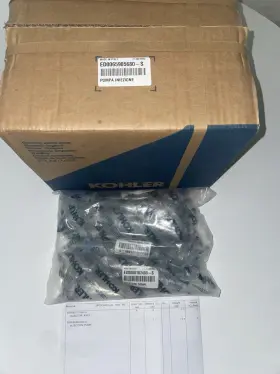 Ed0050107480-s Kohler Kdi2504esm Kdi Generator Injection Pump Ed0065905680-s And Injectors