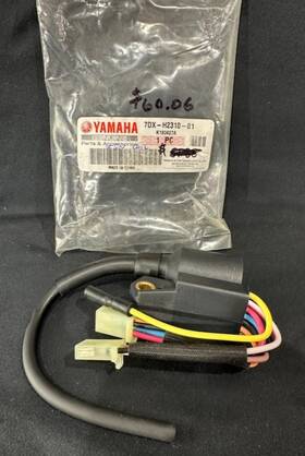 Yamaha 7dx-h2310-01-00 New Ignition Coil Genuine Oem Replacement Part