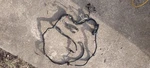 Cummins Onan 338-3416 Engine Wiring Harness Oem Generator Part Usa Stock Used. Price: $250.00.