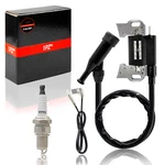 Ignition Coil Set Generac Centurion GP5500 GP6500 Champion Power Cpe 100250 Ohv New. Price: $14.99.