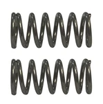 Honda Original Equipment Spring (pack Of 2) 36162-ZL0-D31 New. Price: $17.58.