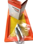 Generac Scheduled Maintenance Kit For Standby Oil Air Champion Spark Plugs New. Price: $19.99.