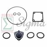 Gasket O-ring Kit For Generac 2" Semi-trash Water Pump 6822 6919 ST20K ST20-S New. Price: $13.99.